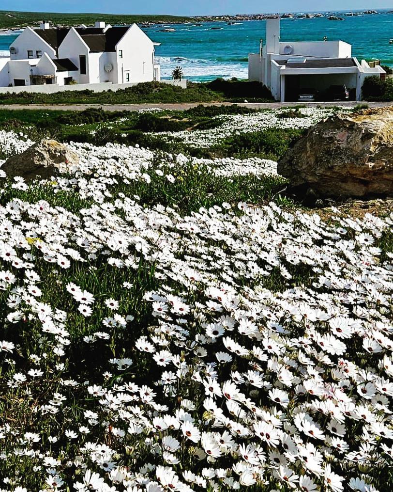 Sonkwas 10 Villa Paternoster Eksteriør bilde